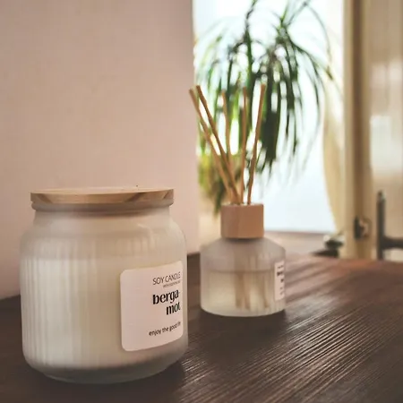 Apartment Svejdov Dom, Centrum *