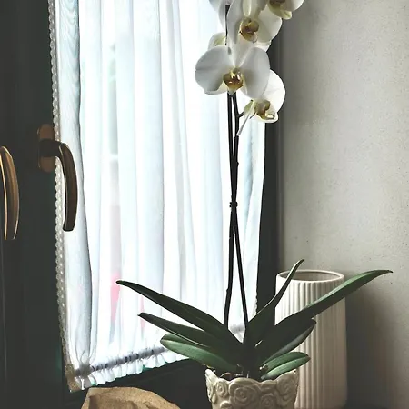 Svejdov Dom, Centrum Bojnice