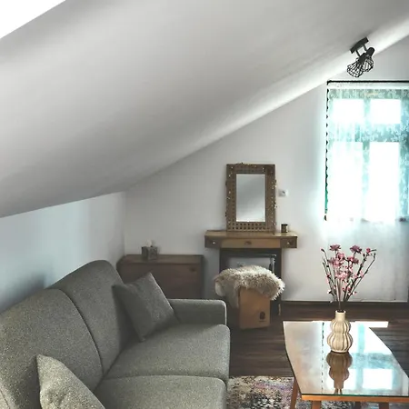 Svejdov Dom, Centrum