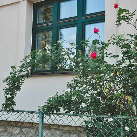 Apartment Svejdov Dom, Centrum *