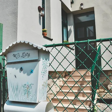 Svejdov Dom, Centrum *