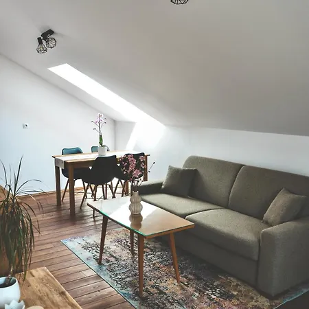 Svejdov Dom, Centrum Bojnice